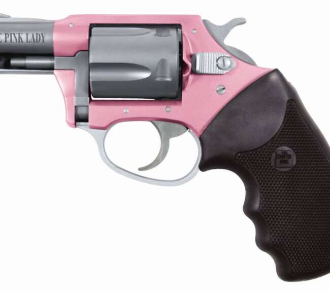 CHARTER ARMS PINK LADY 38SPC PINK/SS 2" 5RD