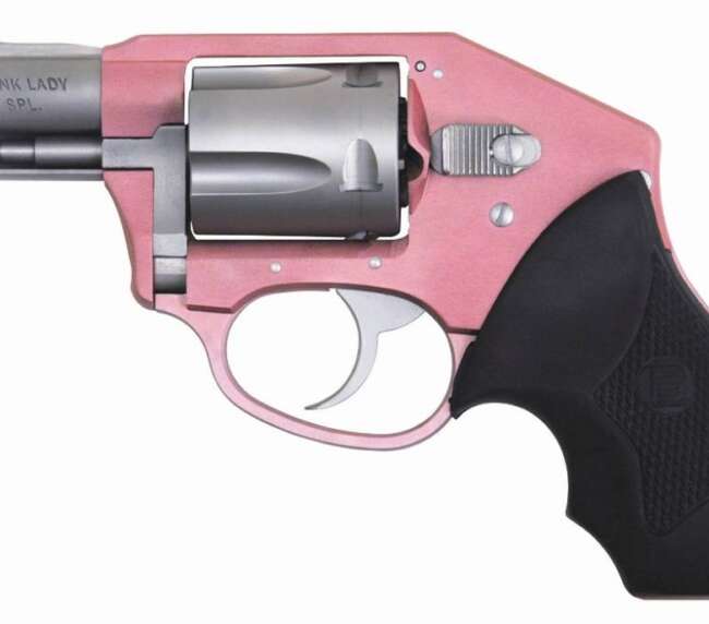 CHARTER ARMS CHARTER PINK LADY OFF DUTY 38S