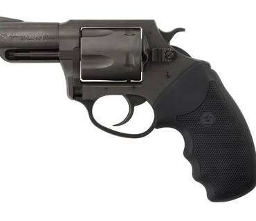 CHARTER ARMS CHARTER PITBULL 40SW NIT 2" FS
