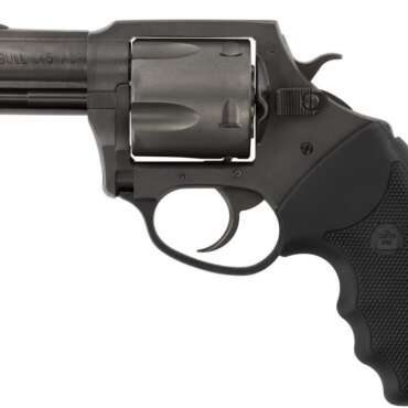 CHARTER ARMS CHARTER PITBULL 45ACP NIT 2.5"