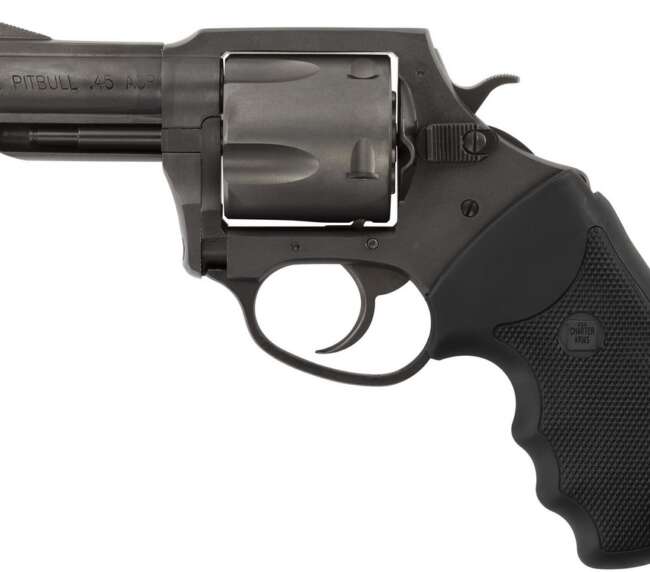 CHARTER ARMS CHARTER PITBULL 45ACP NIT 2.5"