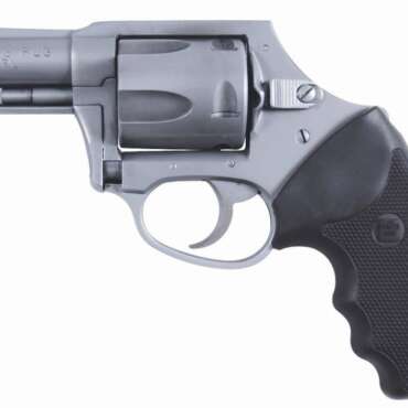 CHARTER ARMS CHARTER BULLDOG 44SPC SS DAO