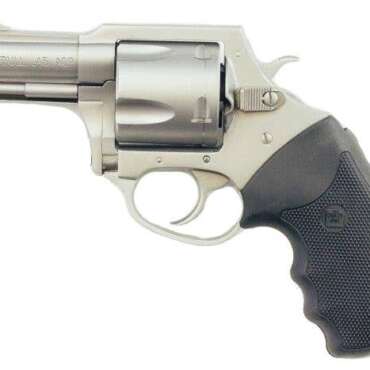 CHARTER ARMS CHARTER PITBULL 45ACP SS 2.5"