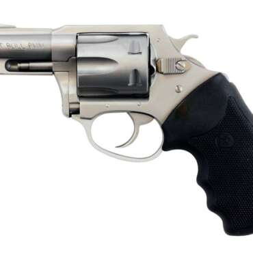 CHARTER ARMS CHARTER PITBULL 9MM SS 2" FS