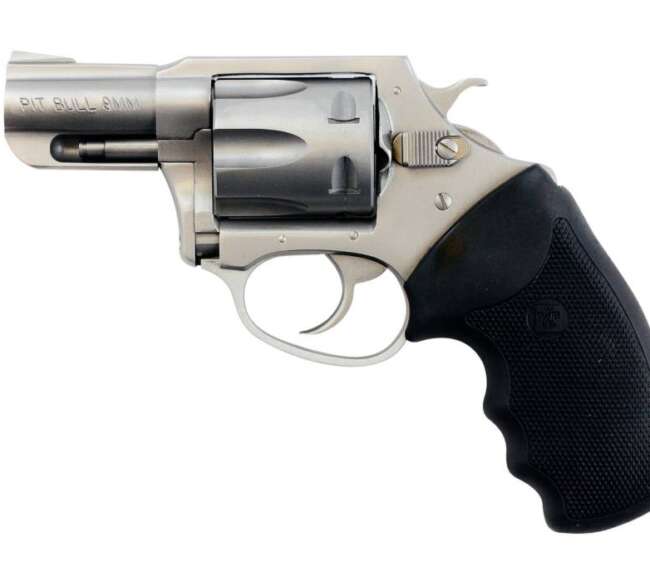 CHARTER ARMS CHARTER PITBULL 9MM SS 2" FS