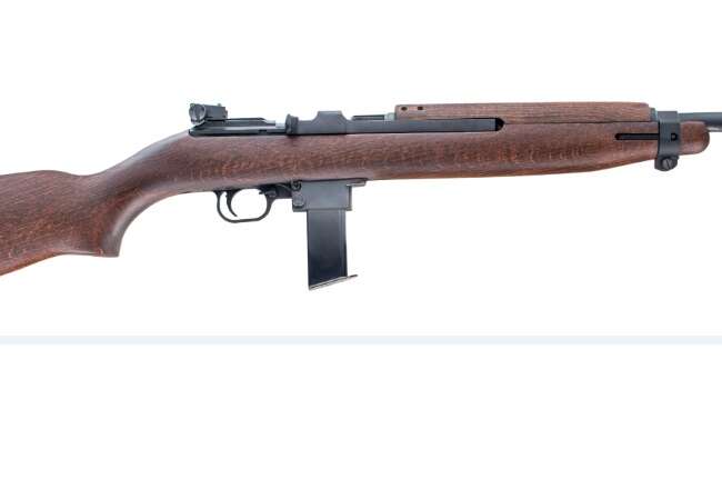 CHIAPPA FIREARMS M1-22 CARBINE 22LR BL/WD 10RD
