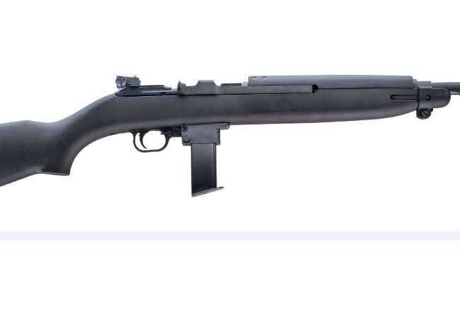 CHIAPPA FIREARMS M1-22 CARBINE 22LR BL/PLY 10RD