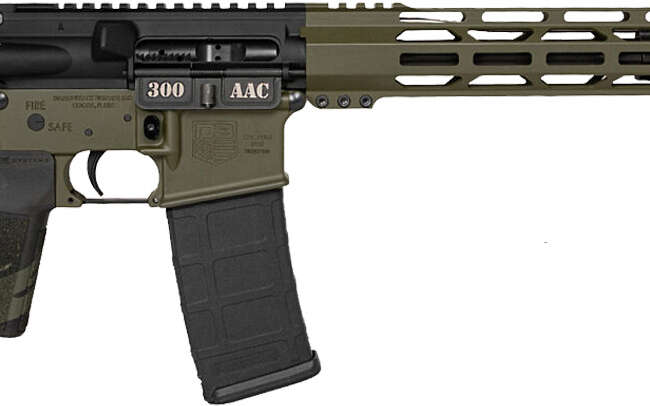 DBF DB15 300BLK 16B 30R ODG TL