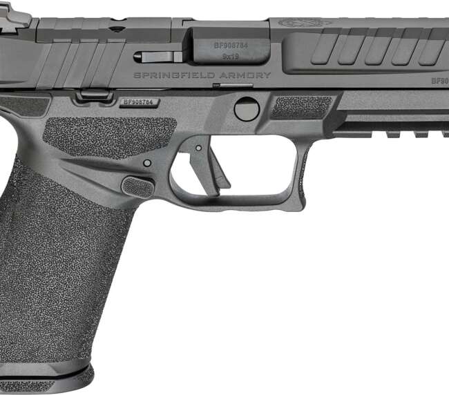 SPG ECHEL 9MM MS 10RD