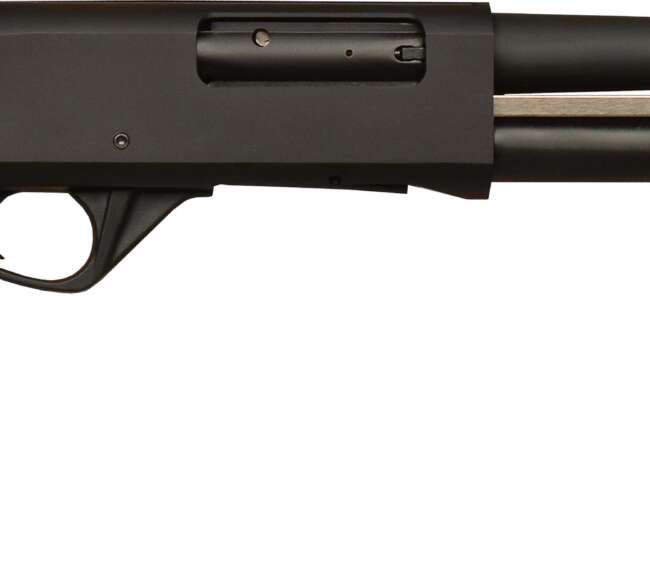 GFA GF3PD PUMP 12/18.5 BLK