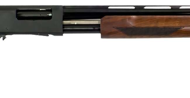 GFA GFP3 PUMP 12M/28B WOOD