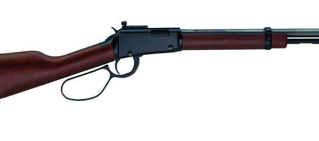 HEN SM GAME CARB LVR 22LR