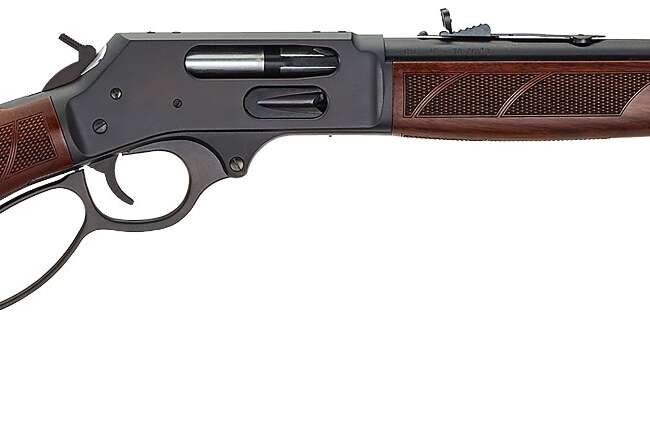 HEN SIDE GATE LVR 45-70 B RND