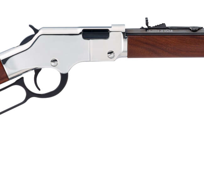 HENRY REPEATING ARMS H4 GOLDEN BOY SILVER 22LR CPT