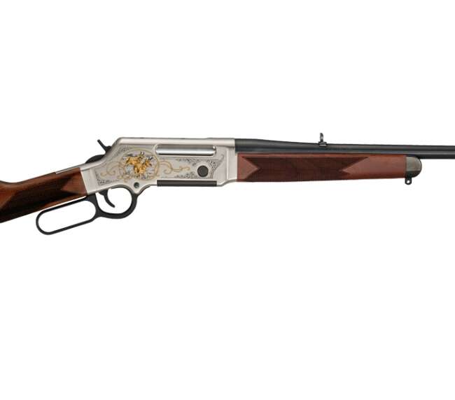 HENRY REPEATING ARMS LONG RANGER WILDLIFE 243WIN
