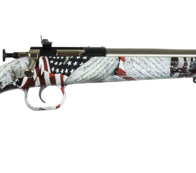 KEYSTONE SPORTING ARMS CRICKETT 22LR AMENDMENT SS