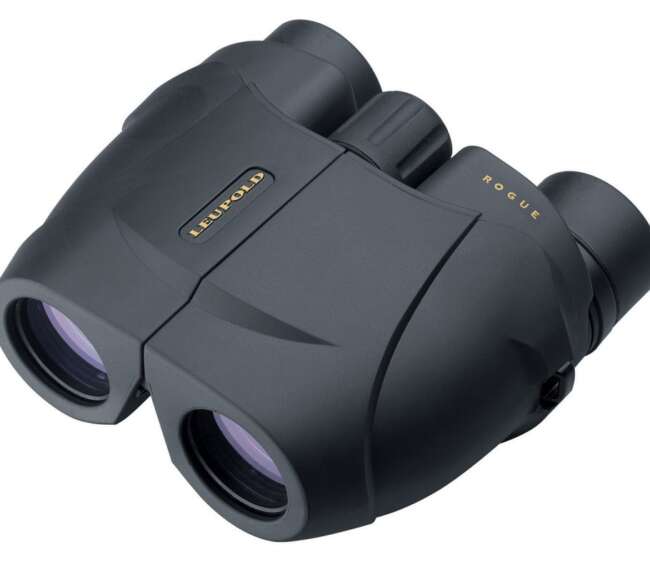 LEUPOLD BINOCULAR BX1 ROGUE 10X25  BLK