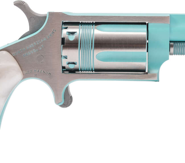 NAM MINI-REV 22M 1.625SS IRIS