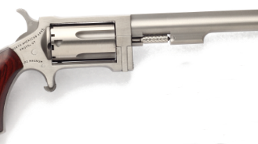 NORTH AMERICAN ARMS SIDEWINDER 22MAG 4" SS       #