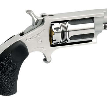 NORTH AMERICAN ARMS THE WASP 22MAG REV 1-1/8" SS