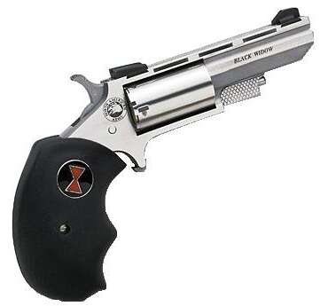 NORTH AMERICAN ARMS 22M/22L CON 2" BLK WIDOW SS FS