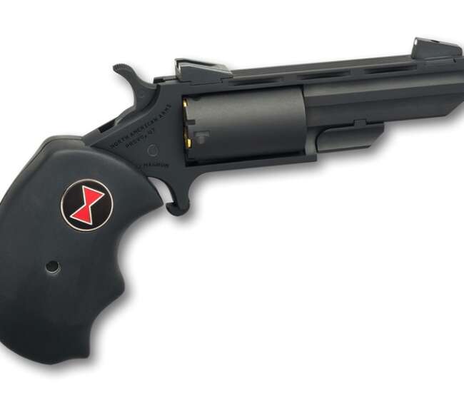 NORTH AMERICAN ARMS 22M/22L CON 2" BLACK WIDOW BLK