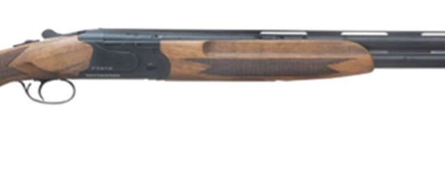 LEG POINT FT9 OU 12/28 WLN BLK