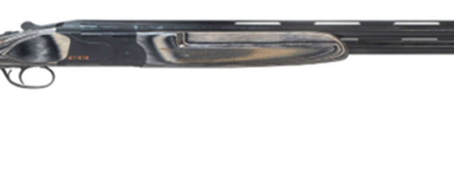 LEG POINT ST9 OU 12/30 GRY LAM