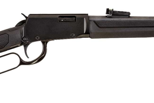 BRZ ROSSI RIOBRAVO 22LR SYN