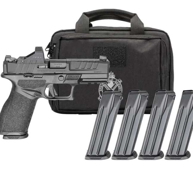 SPRINGFIELD ARMORY ECHELON FC 9MM BLK 4" 20+1 GP