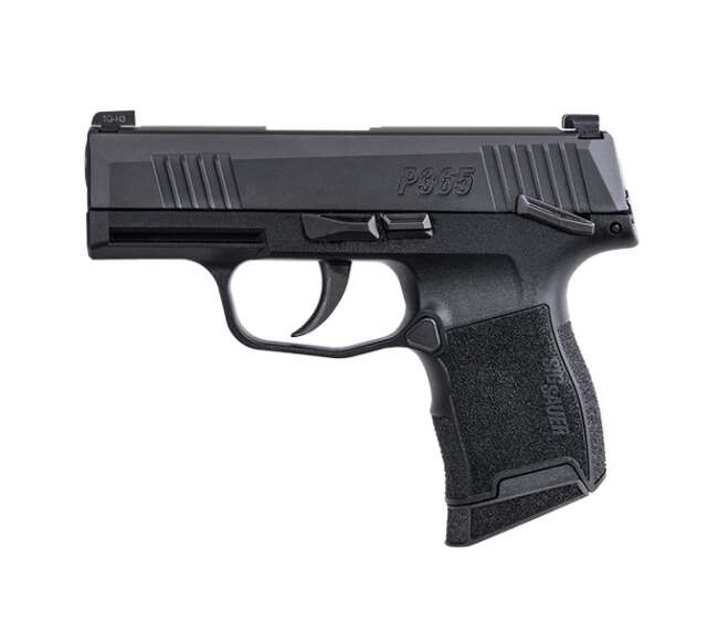 SIG SAUER P365 380ACP BLK 10+1 NS MS MA