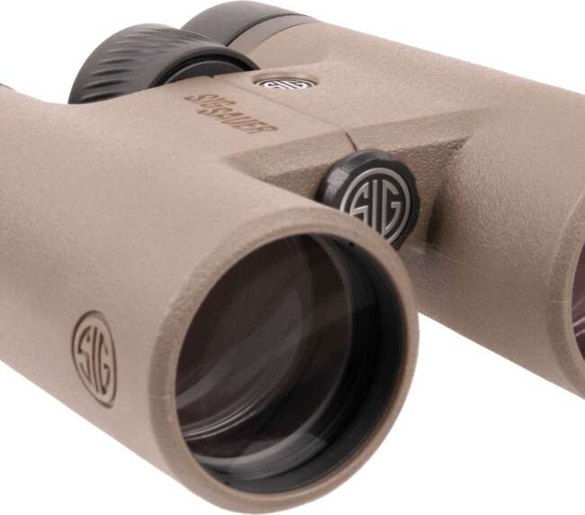 SIG CANYON HD BINO 10X42