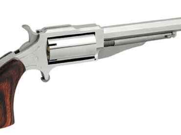 NORTH AMERICAN ARMS THE EARL 22LR/22MAG 4" SS 5SH#