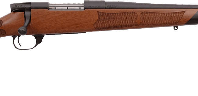 WBY VGD CAMILLA BA 6.5CR 20TB