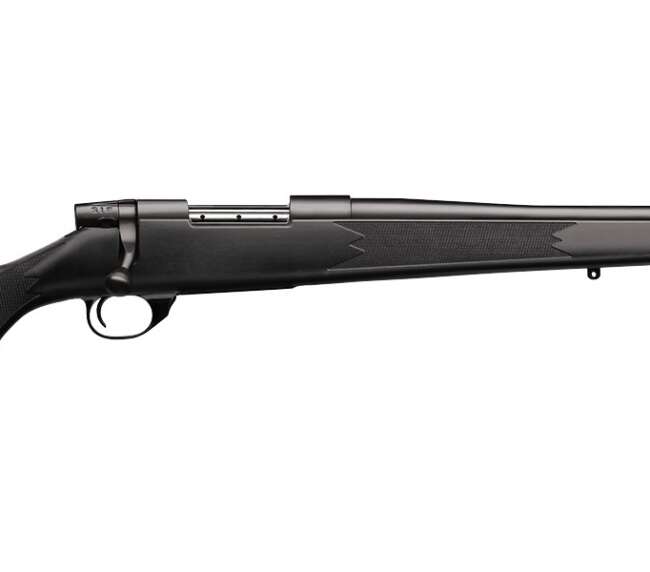 WEATHERBY VANGUARD S2 CMPT 243WIN BL/SY
