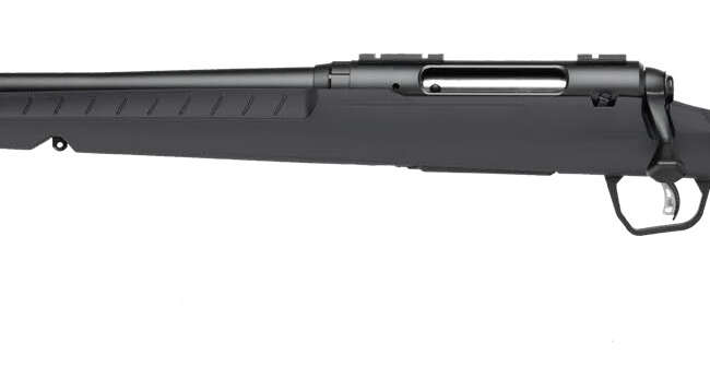 SAVAGE ARMS AXIS 2 308WIN BL/GRY 22" LH