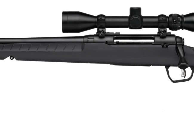 SAVAGE ARMS AXIS 2 270WIN BL/GRY PKG LH
