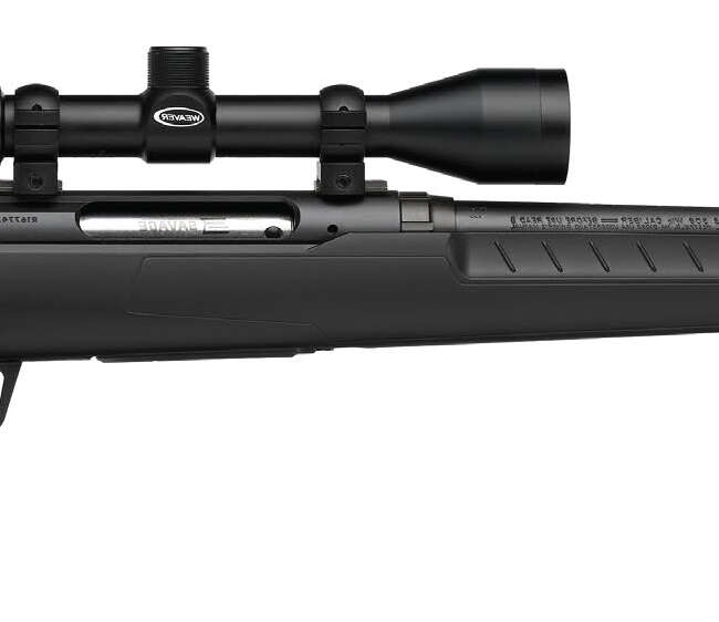 SAVAGE ARMS AXIS 30-06 BL/SYN 22" PKG