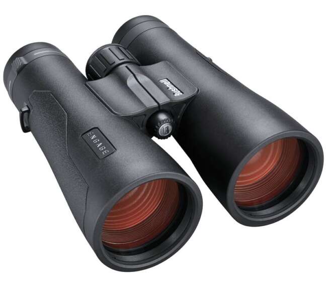 BUSHNELL ENGAGE EDX BINO 12X50 BLK