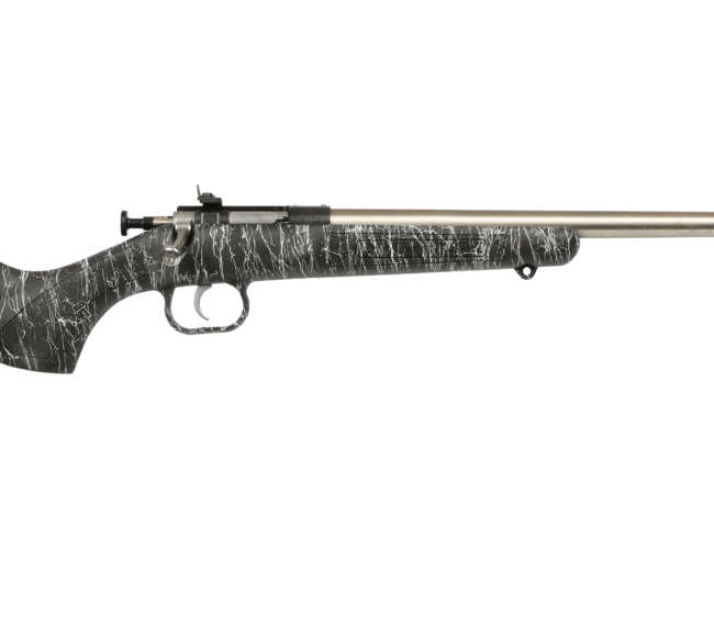 KEYSTONE SPORTING ARMS CRICKETT 22LR SS BLK/WHITE WEB