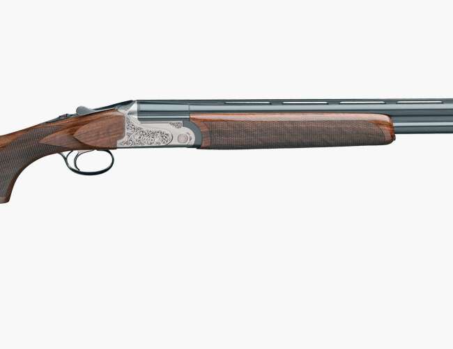 RIZZINI BR110 LIGHT LUXE 410/28 BL/WD