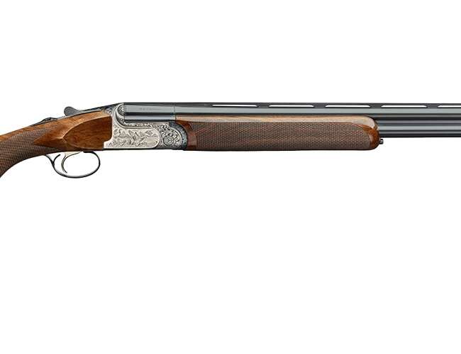 RIZZINI BR220 LIGHT 20/28 BL/WD