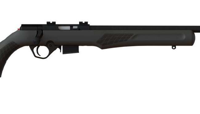 ROSSI RB17 17HMR BLK/SYN 21" 5+1