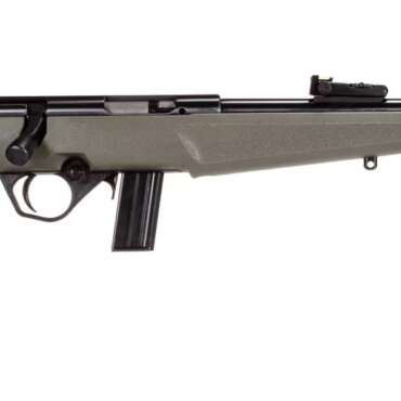 ROSSI RB22 22LR BLK/ODG 16.5" 10+1