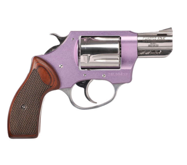 CHARTER ARMS COYOTE 380ACP PURPLE/SS 2" 5RD