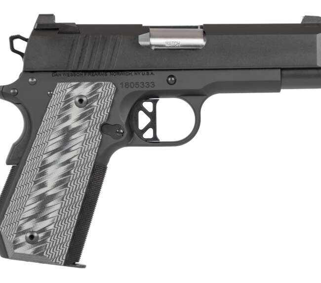 CZ DW ECP 45ACP BLK 4" 8+1 FS MS