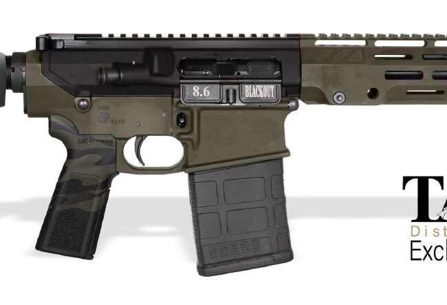 DIAMONDBACK FIREARMS DB10 8.6BLK DUO 12" BRACE