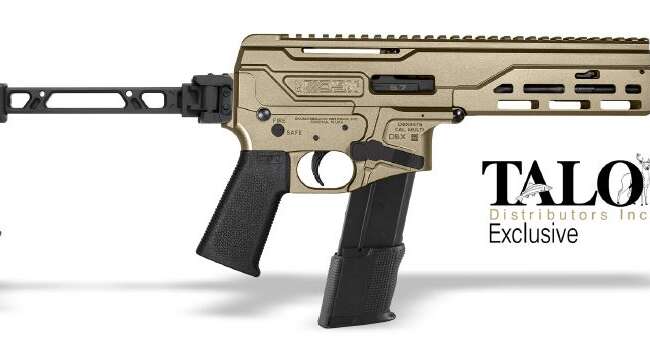 DIAMONDBACK FIREARMS DBX PIST 5.7X28 NIC 8" STRIKE