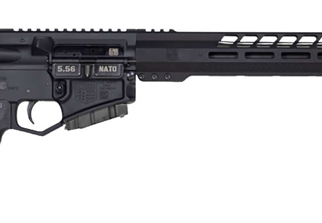 DBF DB15 BLKGLD 556 RFL 16B 10