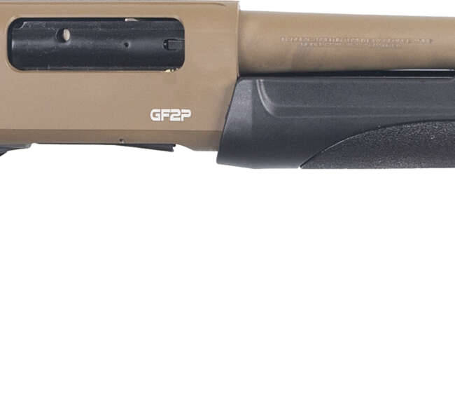 GFA GF2P HIGHCAP 12M/20 7R FDE